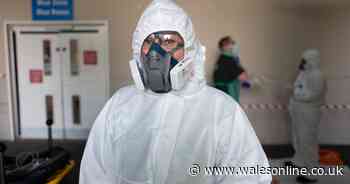 No gowns included in Welsh Government's PPE stockpile until this week