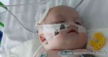 Mum of baby with suspected coronavirus inflammatory disease describes symptoms - Wales Online