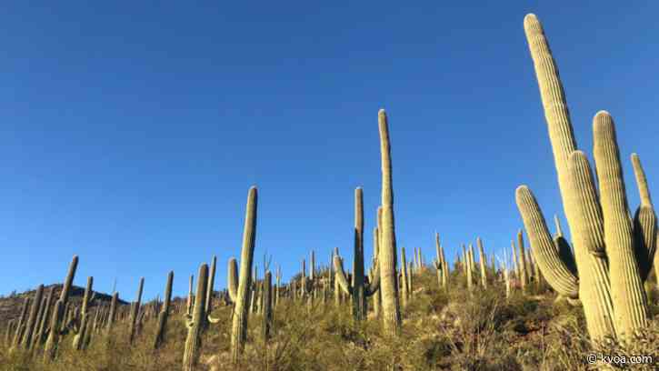 Tumamoc Hill to reopen on Memorial Day