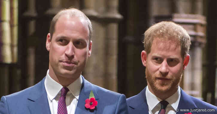 Prince Harry & Prince William's Relationship Is 'Better' & They Have Been in Touch After Rift Rumors