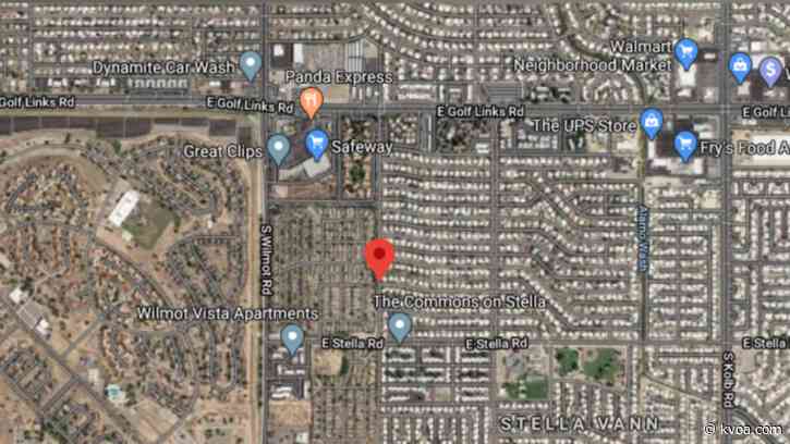 One dog dead, 3 others injured after bee attack on southeast side