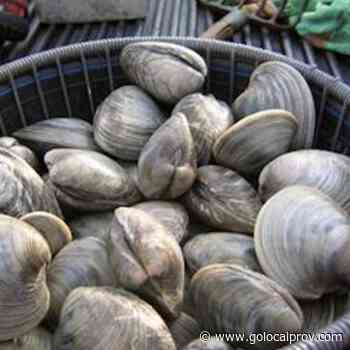 NEW: Allow Rhode Island Shellfishers to Sell Directly to Consumers, Urges McNamara - GoLocalProv