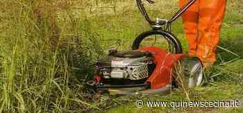 Sfalcio dell'erba e potature, via ad interventi - Qui News Cecina