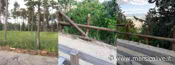 Erba alta e sporcizia in pineta, passeggiata pedonale danneggiata sulla Pietraquaria: le denunce dei cittadini - MarsicaLive
