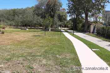 "Zona retrodunale della Riserva Marina di Vasto, lo sfalcio dell'erba è consentito solo ad alcuni" - Zonalocale