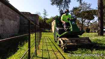 "Lavoratori socialmente utili per il servizio di taglio dell'erba" - PisaToday