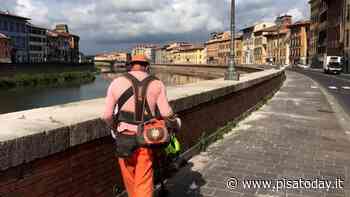 Servizio di taglio dell’erba: lavoratori in stato di agitazione - PisaToday
