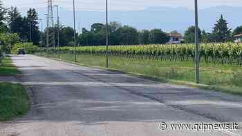 Vazzola, proseguono le attività di volontariato nel Comune: sfalcio dell'erba in tutto il territorio comunale - Qdpnews.it - notizie online dell'Alta Marca Trevigiana