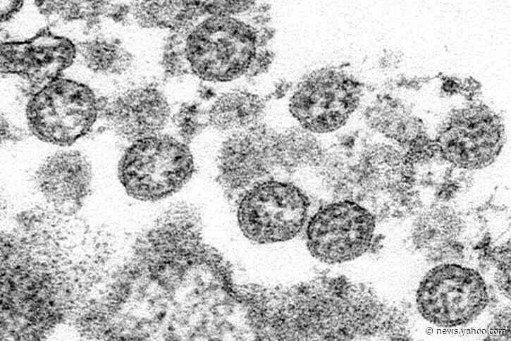 'A pretty scary thing': Kid illness tied to virus worries NY