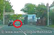 Dashcam footage captures deer roaming streets of Padgate