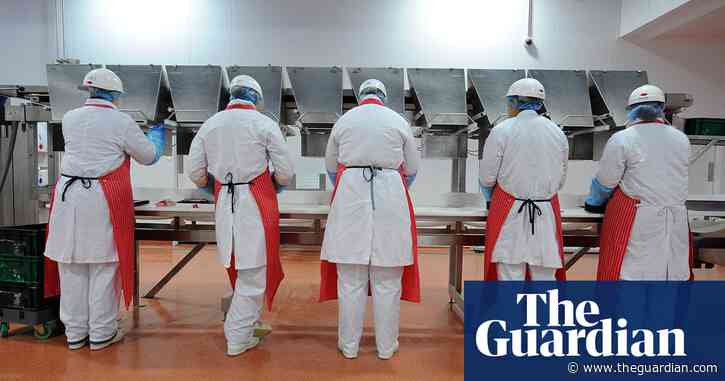 'Everyone's on top of you, sneezing and coughing': life inside Ireland's meat plants