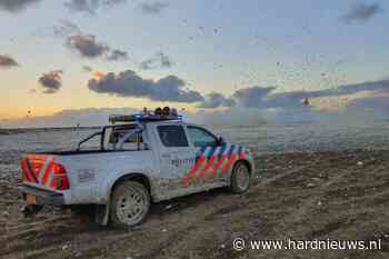 Doden en gewonde bij surfongeval, Noordelijk Havenhoofd Den Haag - Hardnieuws