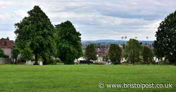 Coffee trailer ordered to close says it was 'only trying to help'