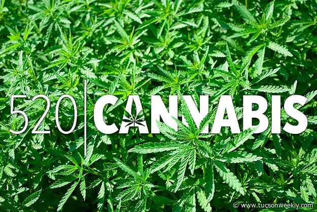 MMJ: Crickets for Cannabis