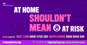 You Are Not Alone: Supporting victims and survivors of Domestic Abuse in the workplace