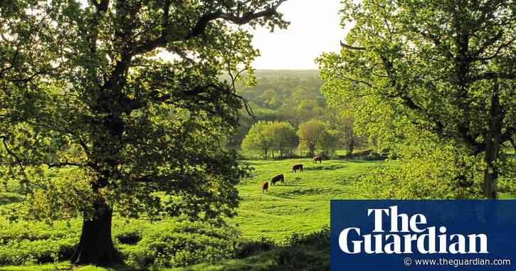 'I think of our videos as the wildlife equivalent of Match of the Day'