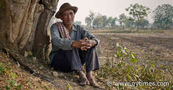 ‘Graves Without a Name’ Review: An Impossible Quest in Cambodia