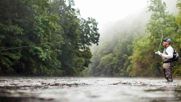 New Bill Proposes Increasing Fish For Free Days