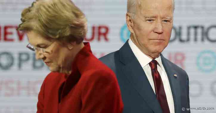Jamelle Bouie: Elizabeth Warren knows what Joe Biden needs in a vice president