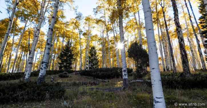 Letter: Work together to save the world