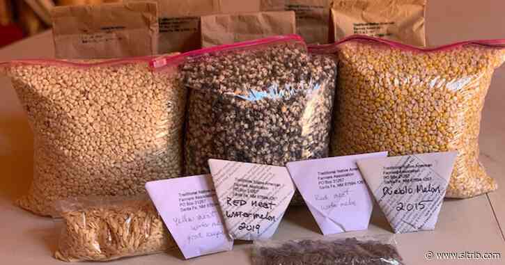 ‘Seeds and Sheep’ program is distributing drought-resistant seeds to Native American families in San Juan County