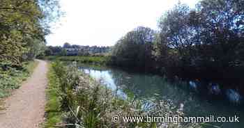 Firefighters 'rescue man' from canal