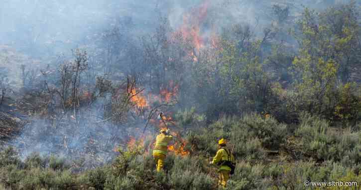 Saddle Fire near Midway is 40% contained, and evacuation order is lifted