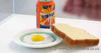 Sunderland families find arty ideas brighten up lockdown