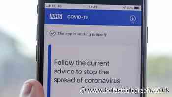 More than half of Isle of Wight residents download contact tracing app