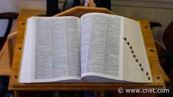 AI made up these words. The bobweiser can vouch for their quality     - CNET