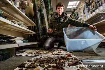 Quinten (19) vindt nazi-muntschat: ‘Hier droom je alleen maar van’