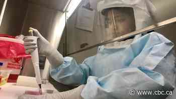 Canadian COVID-19 research is a 'valuable target' for spies, say intelligence agencies