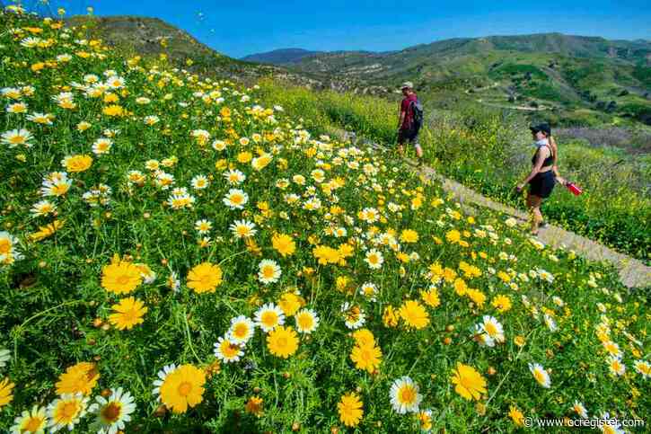 Hiking, fishing, camping, beaches: County parking restrictions ease, giving greater access to outdoors
