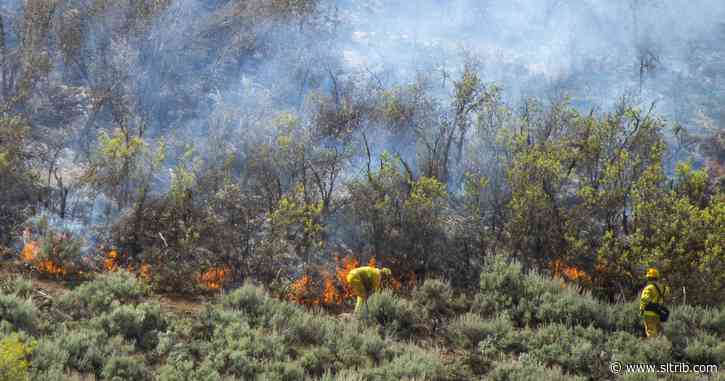 Most of Utah is under fire weather watch this weekend