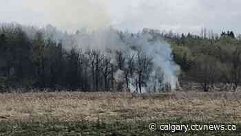 Grass fire burns in Calgary's Fish Creek Park