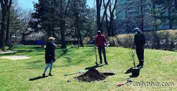 An urban orchard is popping up in this Toronto park | Dished - Daily Hive
