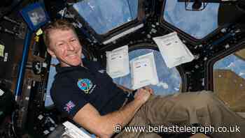 Salad seeds sent to outer space ‘grew slightly slower when planted on Earth’