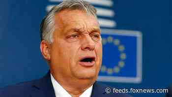 Hungary's Orban cites 'fake news' about coronavirus for detentions