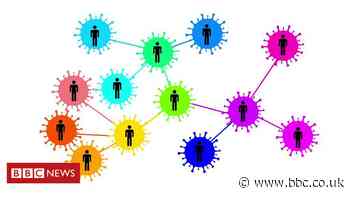 Iceland's ancestry records give coronavirus clues