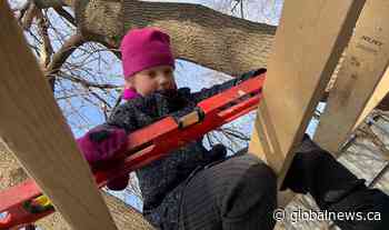 Ottawa father hopes to keep tree fort standing after kids get tear-down notice - Globalnews.ca