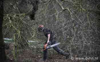 Actie tegen dichtgroeien Strubben Kniphorstbosch - Drenthe - Dagblad van het Noorden