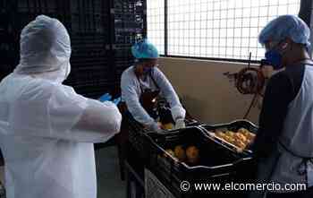 El cantón de Palora activa su comercio con el semáforo amarillo - El Comercio (Ecuador)