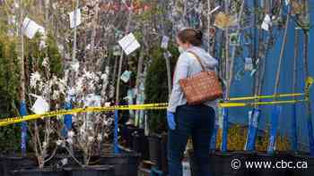 What you need to know about COVID-19 in Ottawa on Wednesday, May 6 - CBC.ca