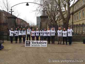 York Civic Trust welcomes news Askham Bog is saved