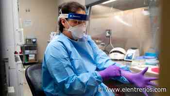 Médica entrerriana contrajo coronavirus en Buenos Aires - Elentrerios.com