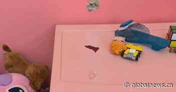 Beaumont residents concerned after gunshots leave bulletholes in their homes, RCMP say shooter meant no harm