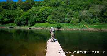 Police question whether fishing is even exercise amid driving rules confusion