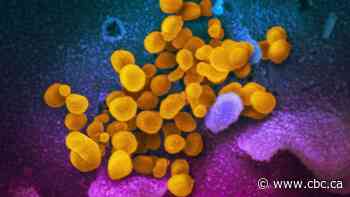 Saskatchewan's temporary closure of 12 rural ERs over COVID-19 draws concern