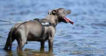 This is Met Office 's view on reports of 30C heatwave