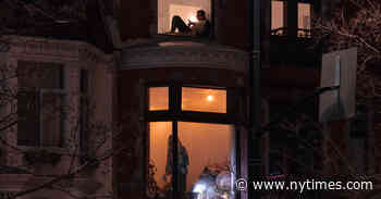 Why Sofas? These Books Explain the Joys and Mysteries of the Home